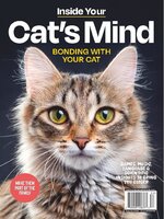 Inside Your Cat's Mind: Bonding With Your Cat